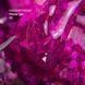 NAILSOFTHEDAY Build gel Flower 02 &ndash; розовый строительный гель с сухими цветочками для ногтей, 15 мл 01224 фото 3